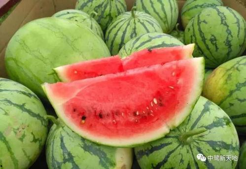 今日吃瓜全集完整版,揭秘娱乐圈幕后真相，带你领略明星们的真实生活